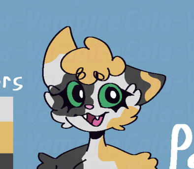 Patches Ref
